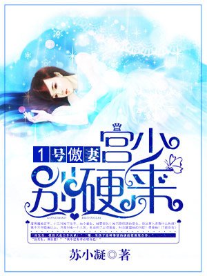 1号傲妻:宫少,别硬来