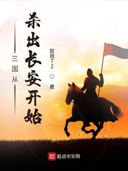 乱世逐鹿:风起三国