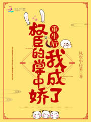 小说女主叫南宝衣的